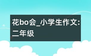花bo會(huì)_小學(xué)生作文:二年級