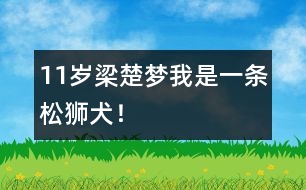 11歲梁楚夢：我是一條松獅犬！