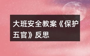 大班安全教案《保護五官》反思