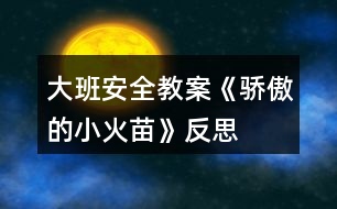 大班安全教案《驕傲的小火苗》反思