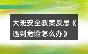 大班安全教案反思《遇到危險怎么辦》
