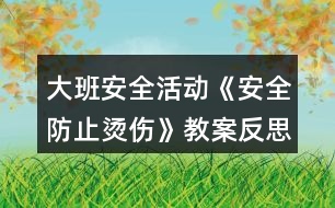 大班安全活動《安全防止?fàn)C傷》教案反思