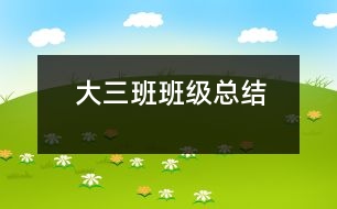 大三班班級總結(jié)