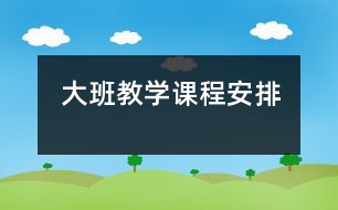 大班教學(xué)課程安排