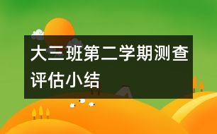 大三班第二學(xué)期測查評(píng)估小結(jié)