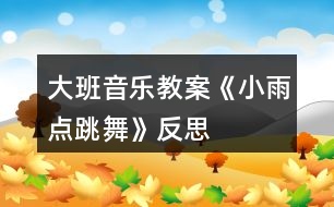 大班音樂(lè)教案《小雨點(diǎn)跳舞》反思