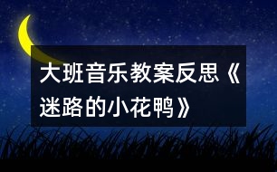 大班音樂(lè)教案反思《迷路的小花鴨》