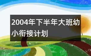 2004年下半年大班幼小銜接計劃