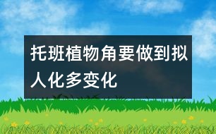 托班植物角要做到擬人化、多變化