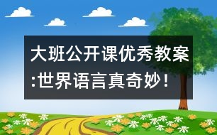 大班公開課優(yōu)秀教案:世界語言真奇妙！