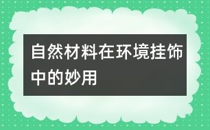 自然材料在環(huán)境掛飾中的妙用