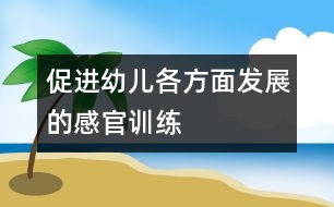 促進幼兒各方面發(fā)展的感官訓練