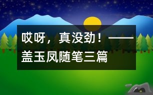 “哎呀，真沒勁！”――蓋玉鳳隨筆三篇