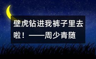 “壁虎”鉆進(jìn)我褲子里去啦！――周少青隨筆兩篇