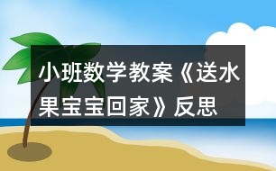 小班數(shù)學教案《送水果寶寶回家》反思