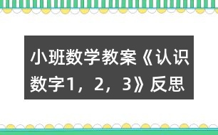 小班數學教案《認識數字1，2，3》反思