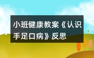 小班健康教案《認識手足口病》反思