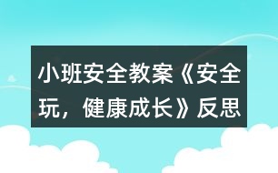 小班安全教案《安全玩，健康成長》反思