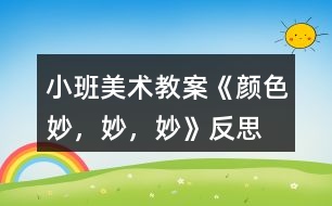小班美術教案《顏色妙，妙，妙》反思