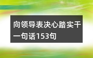 向領(lǐng)導(dǎo)表決心踏實(shí)干一句話(huà)153句