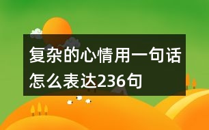 復(fù)雜的心情用一句話(huà)怎么表達(dá)236句