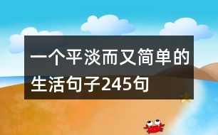 一個(gè)平淡而又簡單的生活句子245句