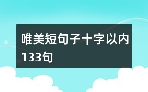 唯美短句子十字以內133句