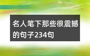 名人筆下那些很震撼的句子234句