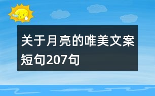 關(guān)于月亮的唯美文案短句207句