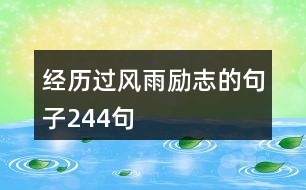 經(jīng)歷過風(fēng)雨勵志的句子244句
