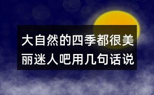 大自然的四季都很美麗迷人吧用幾句話說說你眼里的四季178句