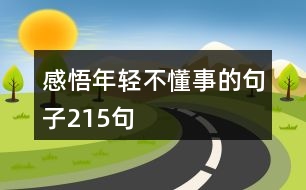 感悟年輕不懂事的句子215句