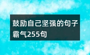 鼓勵自己堅(jiān)強(qiáng)的句子霸氣255句