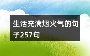 生活充滿(mǎn)煙火氣的句子257句