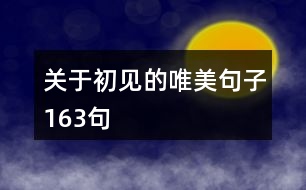 關(guān)于初見的唯美句子163句