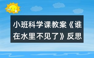 小班科學課教案《誰在水里不見了》反思