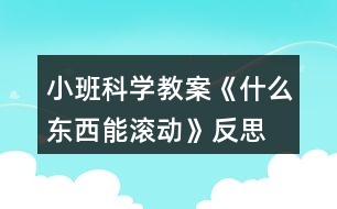 小班科學(xué)教案《什么東西能滾動(dòng)》反思