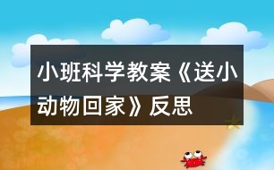 小班科學教案《送小動物回家》反思