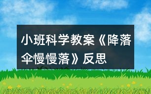 小班科學(xué)教案《降落傘慢慢落》反思