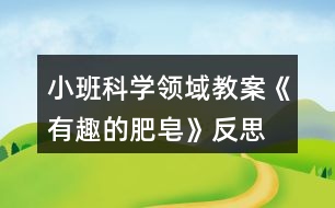 小班科學(xué)領(lǐng)域教案《有趣的肥皂》反思