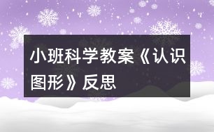 小班科學(xué)教案《認識圖形》反思