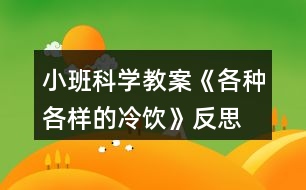 小班科學(xué)教案《各種各樣的冷飲》反思