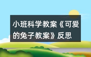 小班科學教案《可愛的兔子教案》反思