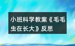 小班科學(xué)教案《毛毛蟲在長大》反思