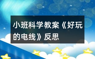 小班科學教案《好玩的電線》反思