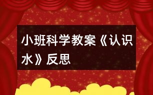 小班科學(xué)教案《認(rèn)識(shí)水》反思