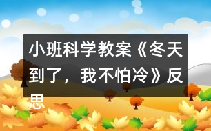 小班科學教案《冬天到了，我不怕冷》反思