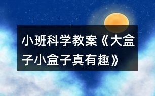 小班科學(xué)教案《大盒子、小盒子真有趣》反思