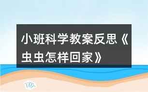 小班科學(xué)教案反思《蟲蟲怎樣回家》