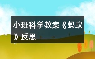 小班科學(xué)教案《螞蟻》反思